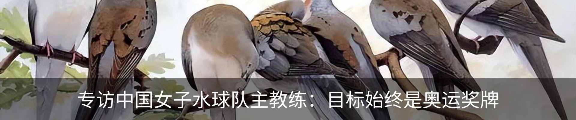 资讯动态